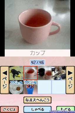 Snapshot